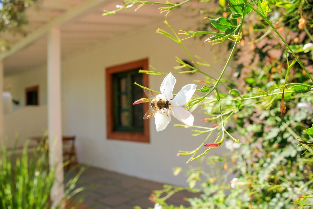 ホテル Fazendinha - Tavira - Spacious And Tranquil エクステリア 写真